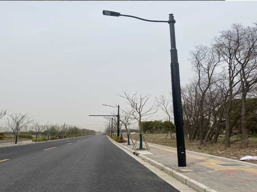 荷塘区上海综合杆 太阳能路灯工程